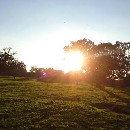 Casa De Campo Alter Pedroso Alter do Chão Eksteriør bilde