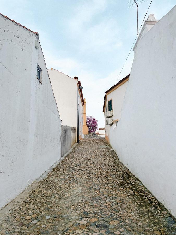 Casa De Campo Alter Pedroso Alter do Chão Eksteriør bilde