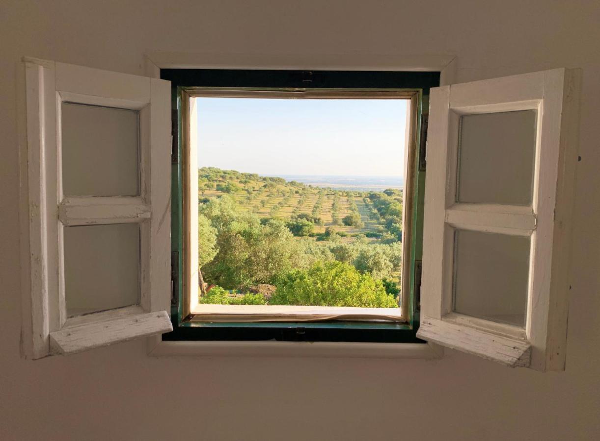 Casa De Campo Alter Pedroso Alter do Chão Eksteriør bilde
